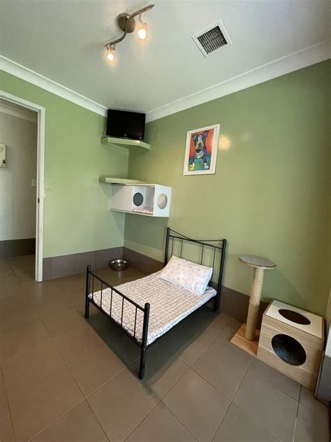 cat friendly self catering holidays.